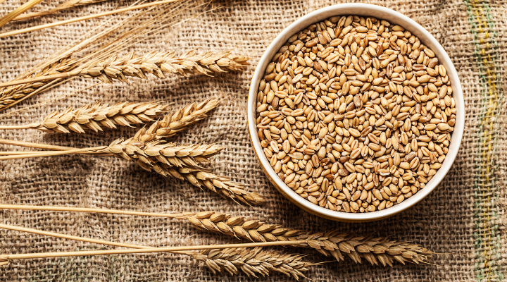 グレインイメージ